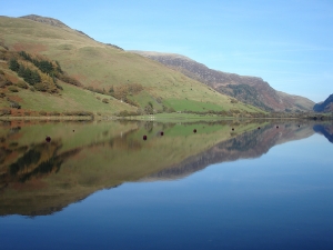 Lake Reflection